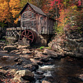 Autumn's Touch